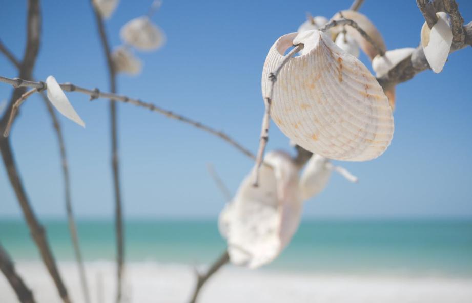 去除脚臭脚气脚出汗小妙招,光脚走路有效去脚臭