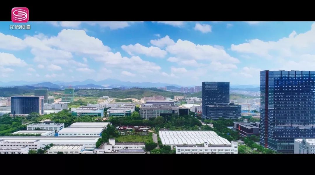 深圳，这只老虎终于要发威了