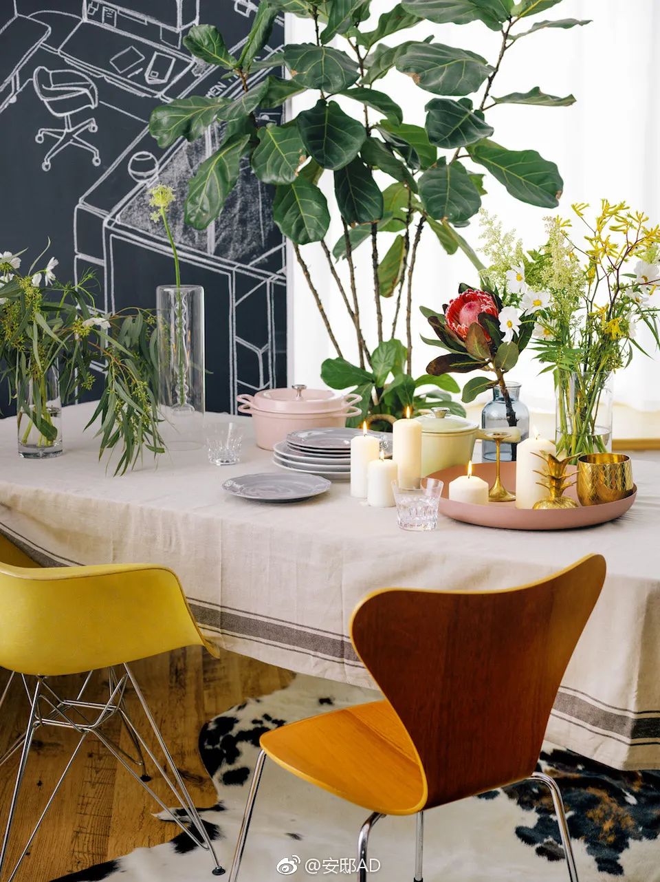 看了她们的家，我又有新梦想了