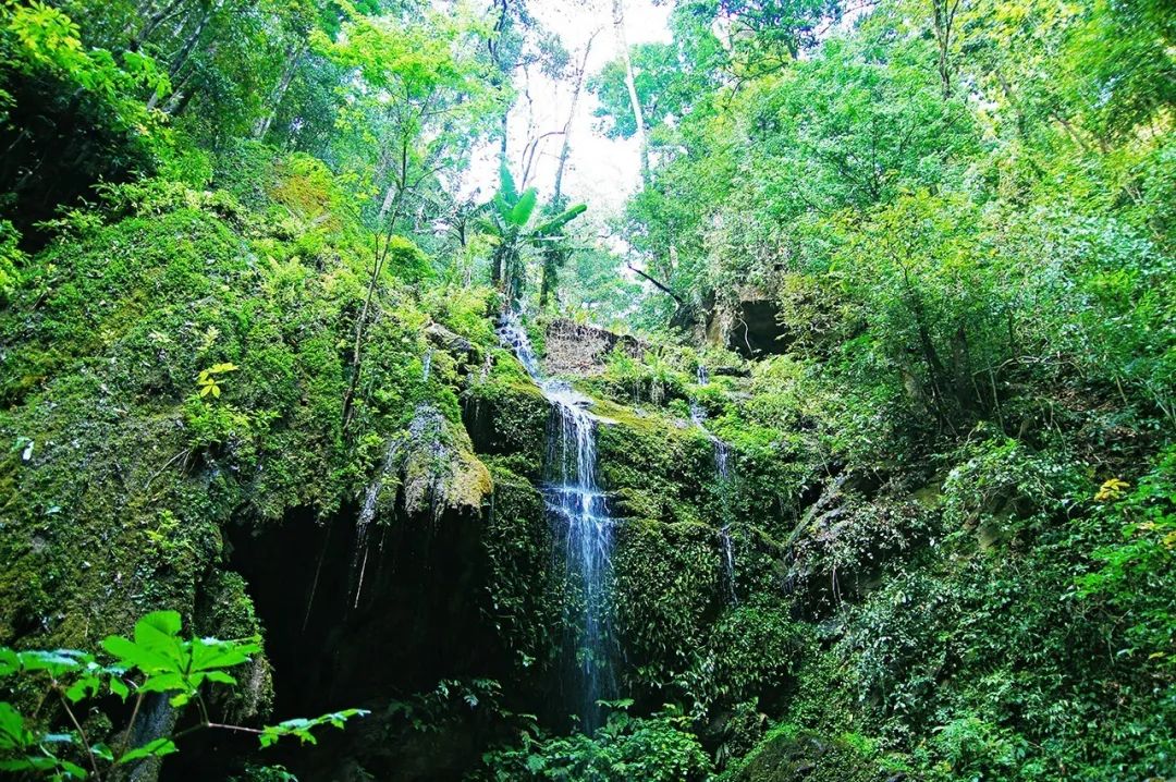 端午不加价水上别墅,端午不加价别墅惠州