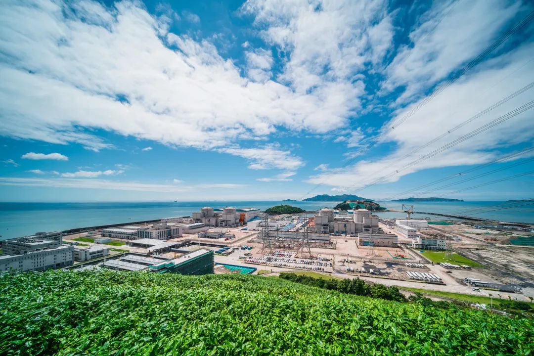 这样的鸟兽胖友圈，你见过吗？