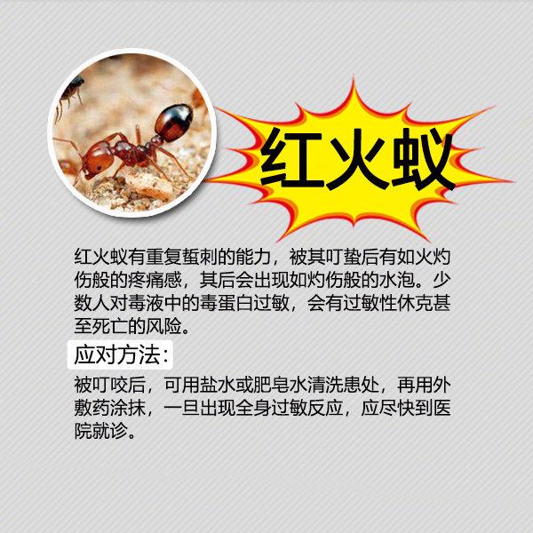 夏季粮食防虫小妙招,夏季防虫小妙招