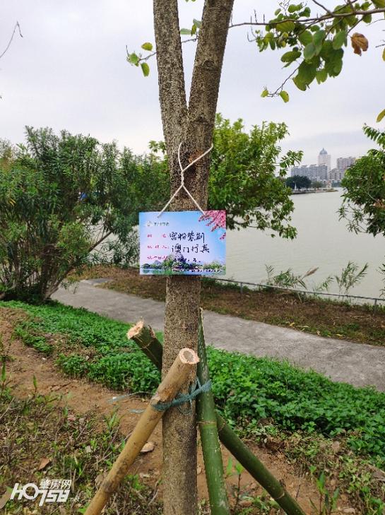 七星岩最新免费政策,肇庆市七星岩门票免费政策