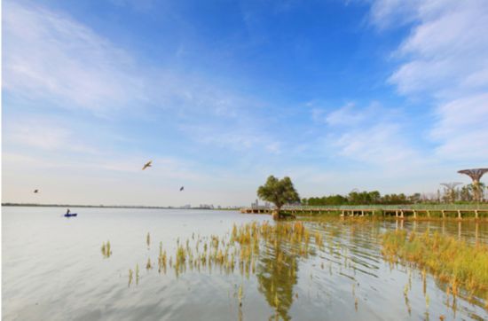 含绿芜的诗词,含绿量提升含金量