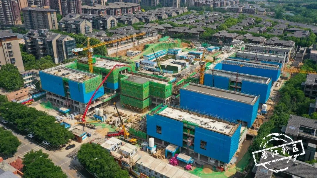 有颜更有料,有颜更有料车展实录