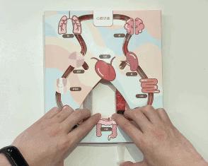 六一礼物高能清单！好玩又益智，大小朋友的快乐源泉