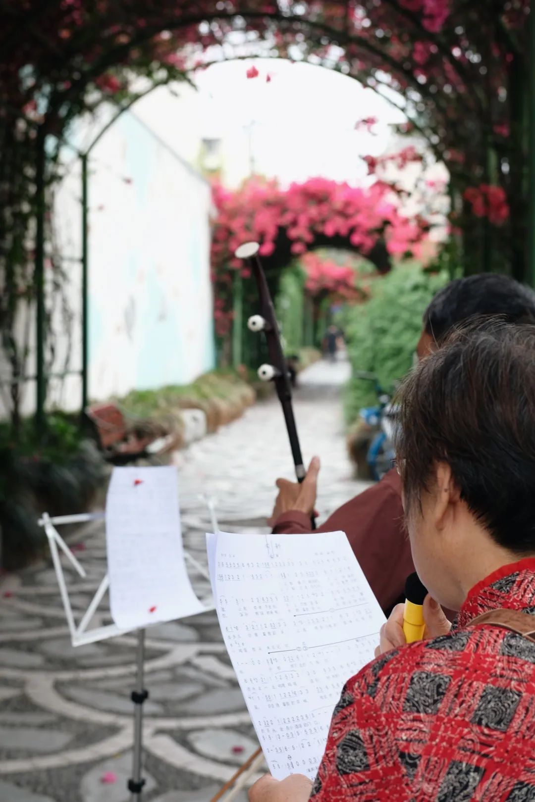 少陵路是属于哪个街道,三年前少陵路