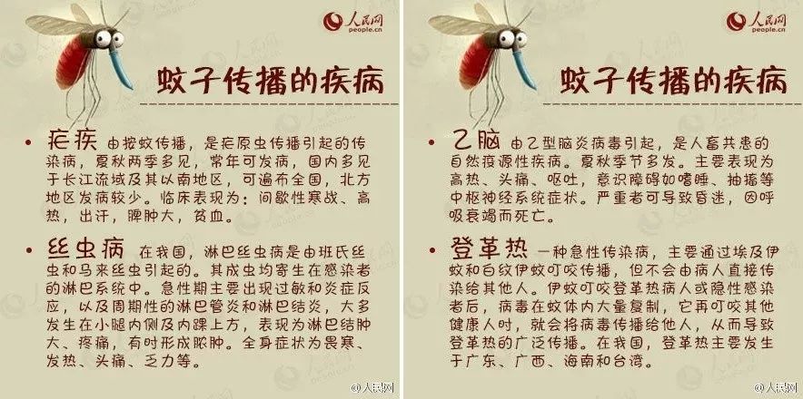 1罐搞定一整夏！20秒止痒消肿，让蚊虫再无嚣张机会