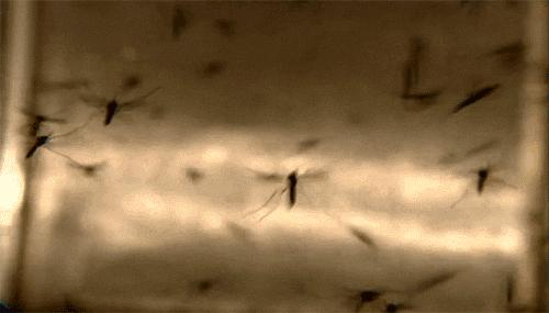 1罐搞定一整夏！20秒止痒消肿，让蚊虫再无嚣张机会