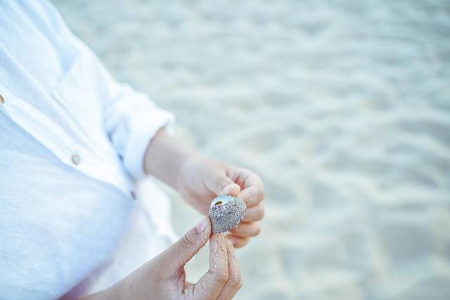 私奔到海滨,私奔去马尔代夫