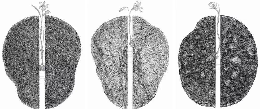 91岁永井一正：设计力量让人觉醒