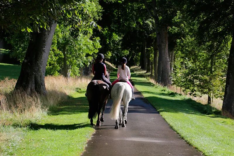 世界上最神秘的城堡是什么,全球最隐秘的城堡