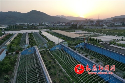 石泉旗帜领航助推乡村全面振兴,石泉县池河镇乡村