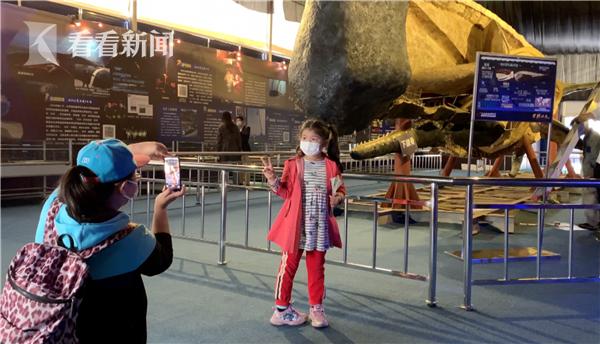 抹香鲸解剖出塑料,座头鲸塑化标本