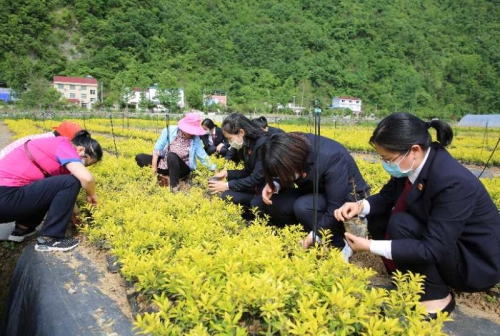 检察巾帼文明岗风采,保康检察