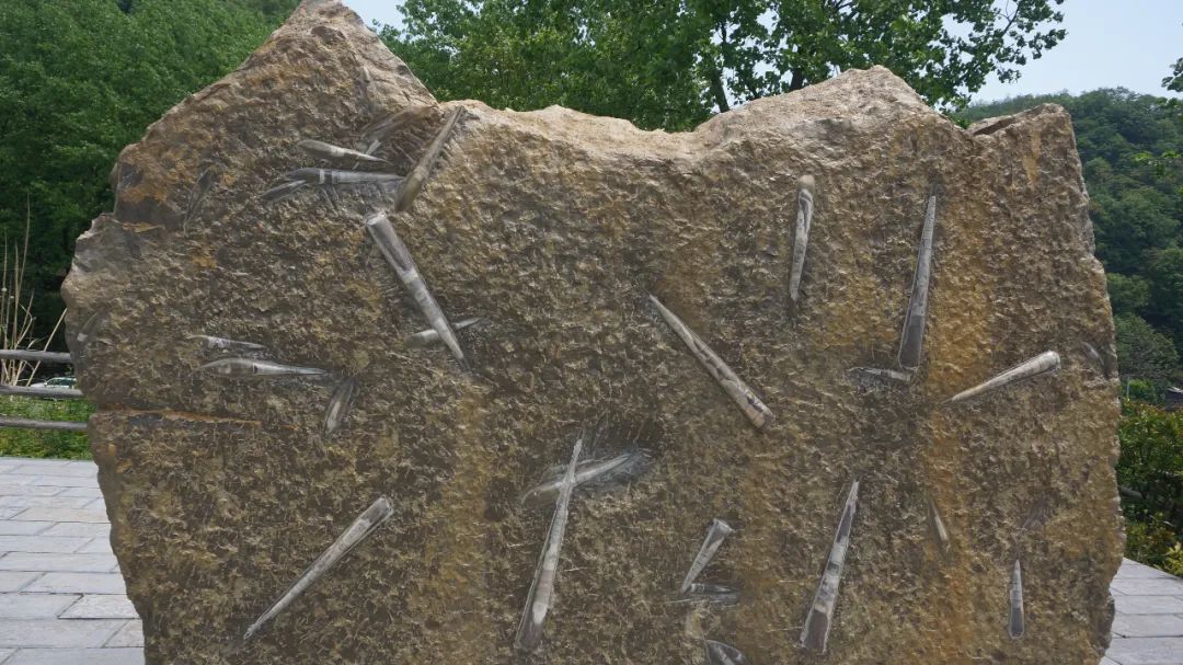 大朋友小朋友,六一去哪嗨?宜昌14家景区特惠福利来袭!