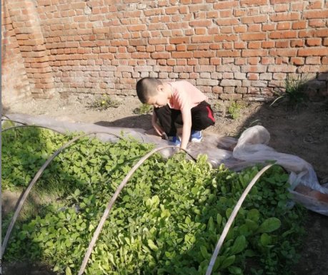 二三里早八点！吉林志愿者广场巡查，提醒市民注意保持距离