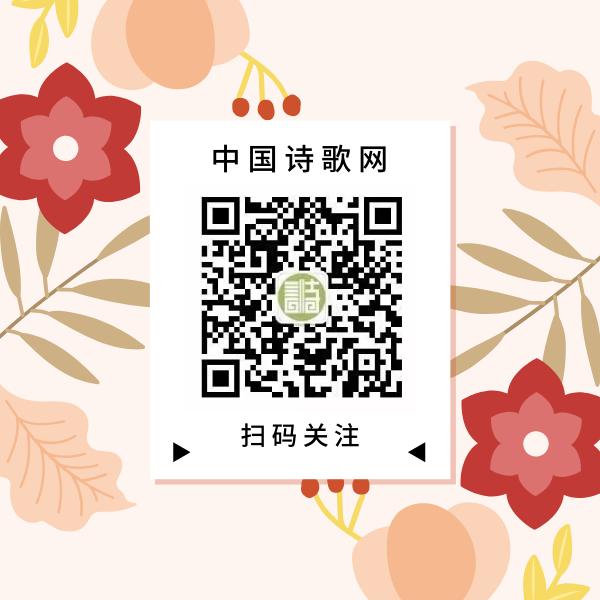 你羡慕的人每天在手机上看什么,你羡慕的人有哪些