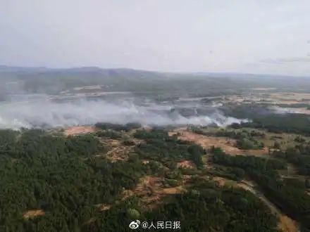 石家庄孩子社保卡怎么办理医保,河北儿童社保卡网上怎么办理流程