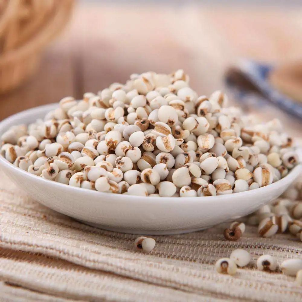 薏仁可以健脾祛湿吗,薏米能治脾胃湿热吗