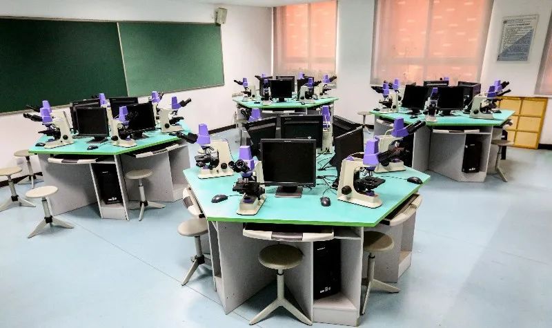 「独家重磅」北京市第五十五中学:招生计划增加40人艺体科技教育助力学生全面成长