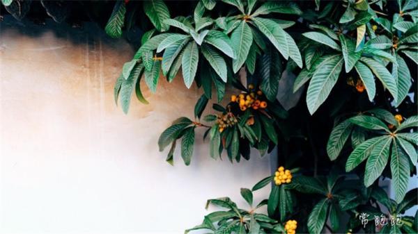 江浙低调的城市,常熟值不值得去