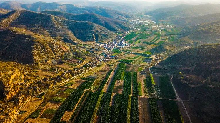 再造子午岭,再造一个子午岭有效吗