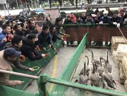 西安冷门摆地摊的好地方,摆地摊摊王之王