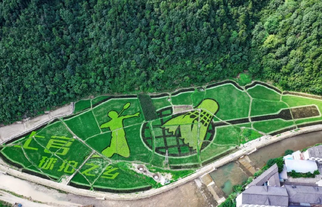 1元秒杀！富阳这个乡乡长“带货”啦！