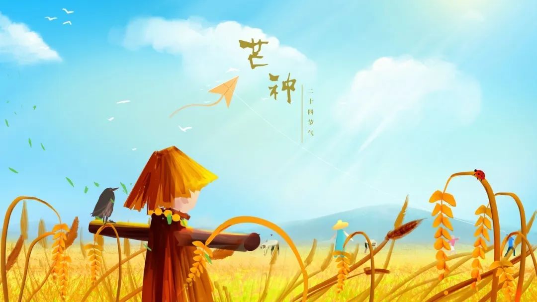 芒种收获幸福种下希望,芒种播下希望的种子