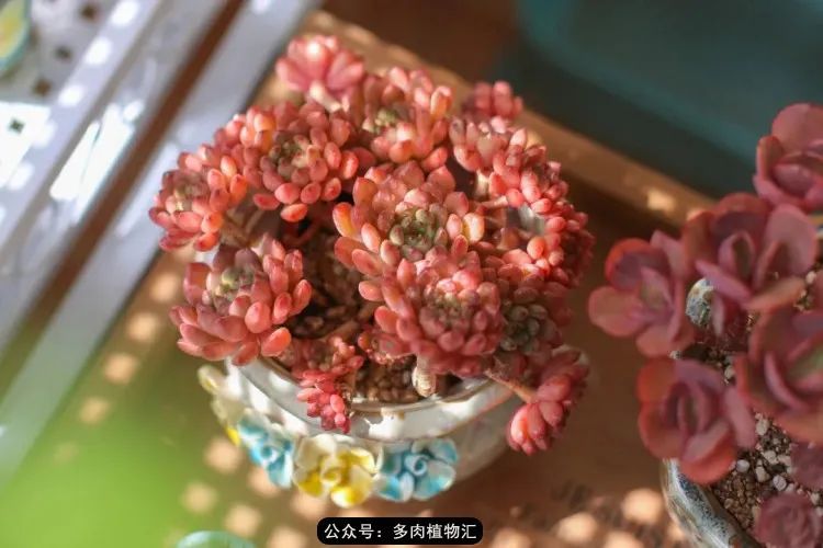 专注于自己喜欢的事情,专注于自己喜爱的事情