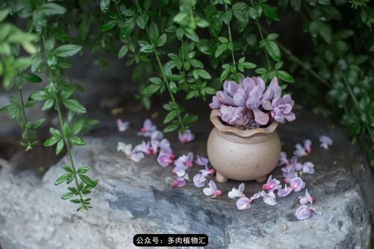 专注于自己喜欢的事情,专注于自己喜爱的事情