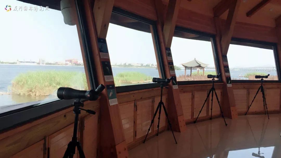 带娃出去玩的公园推荐,周六日可以带娃去的公园