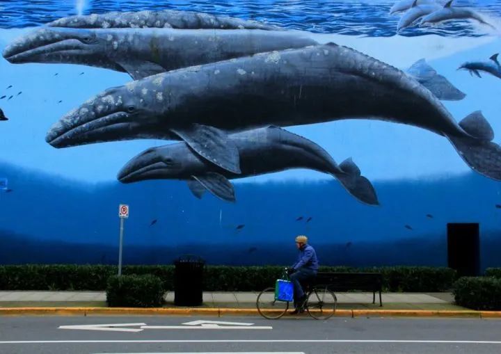 100条真实的冷知识,有哪些非常冷门的冷知识