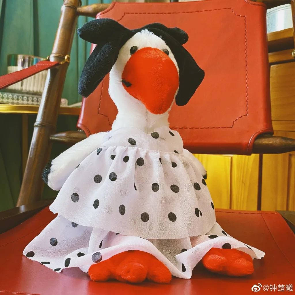 钟楚曦美人计完整视频,钟楚曦美丽秘笈