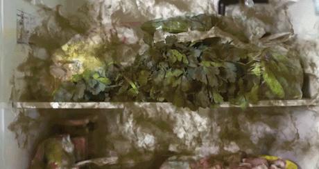 为什么日本房子不大，却住着很舒服？这些“隐藏”细节，令人赞叹