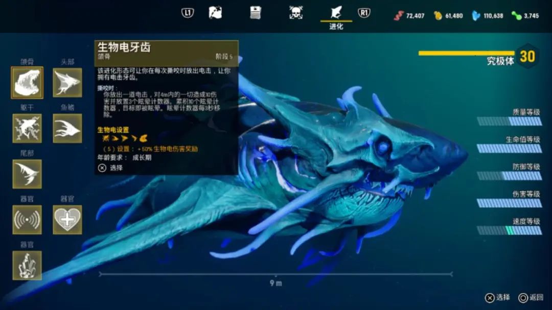 食人鲨图文评测,吃零食鲨鱼