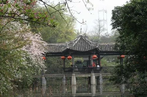 三番五次离家出走,三次离家出走的男孩