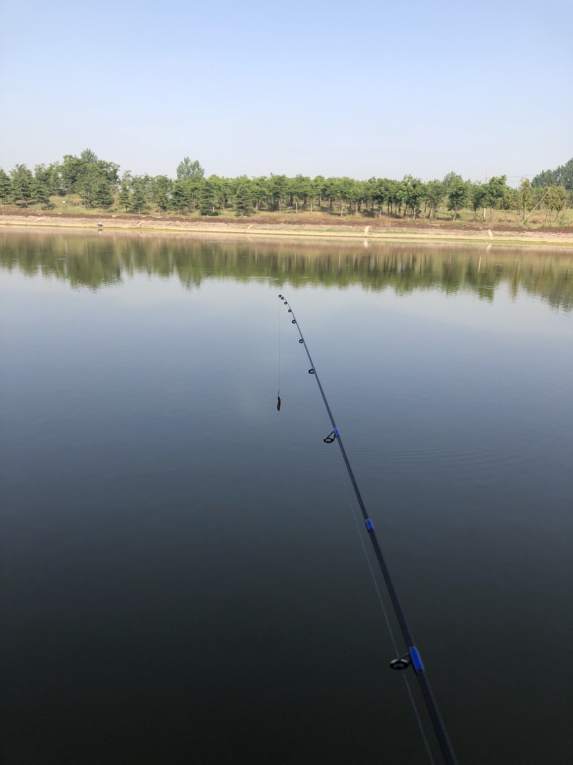 新路亚鱼竿到手要干嘛,新路亚竿子到手硬吗