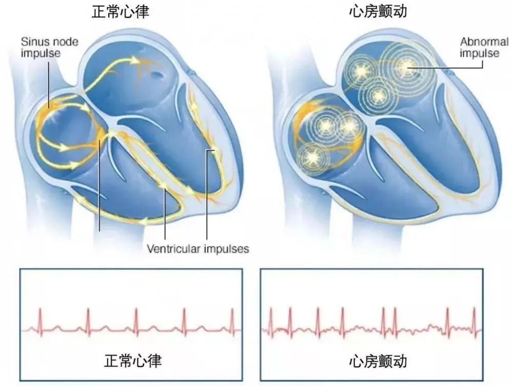 地区医院“摆摊首秀”来一波
