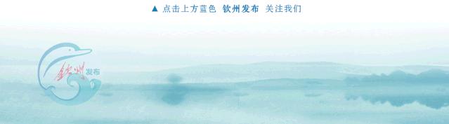 钦州集装箱基地,中谷钦州集装箱多式联运物流基地