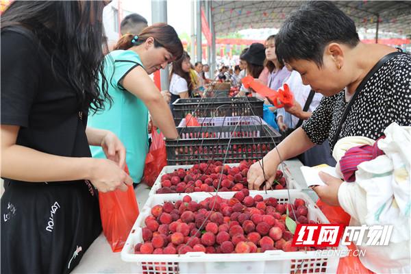 暖水镇第三届杨梅节,南乡镇第三届杨梅节