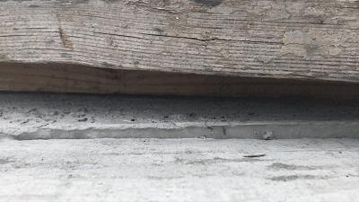 紧急提醒男子被虫咬,紧急提醒1人抢救无效身亡