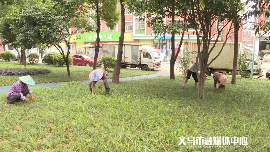 义乌人，本周完工！新增5个休闲健身好去处