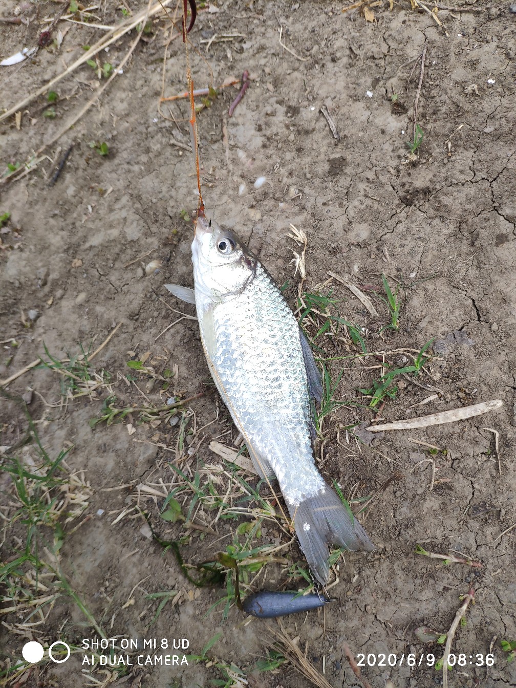 小矶竿导环怎么修复,小矶竿手把节修复