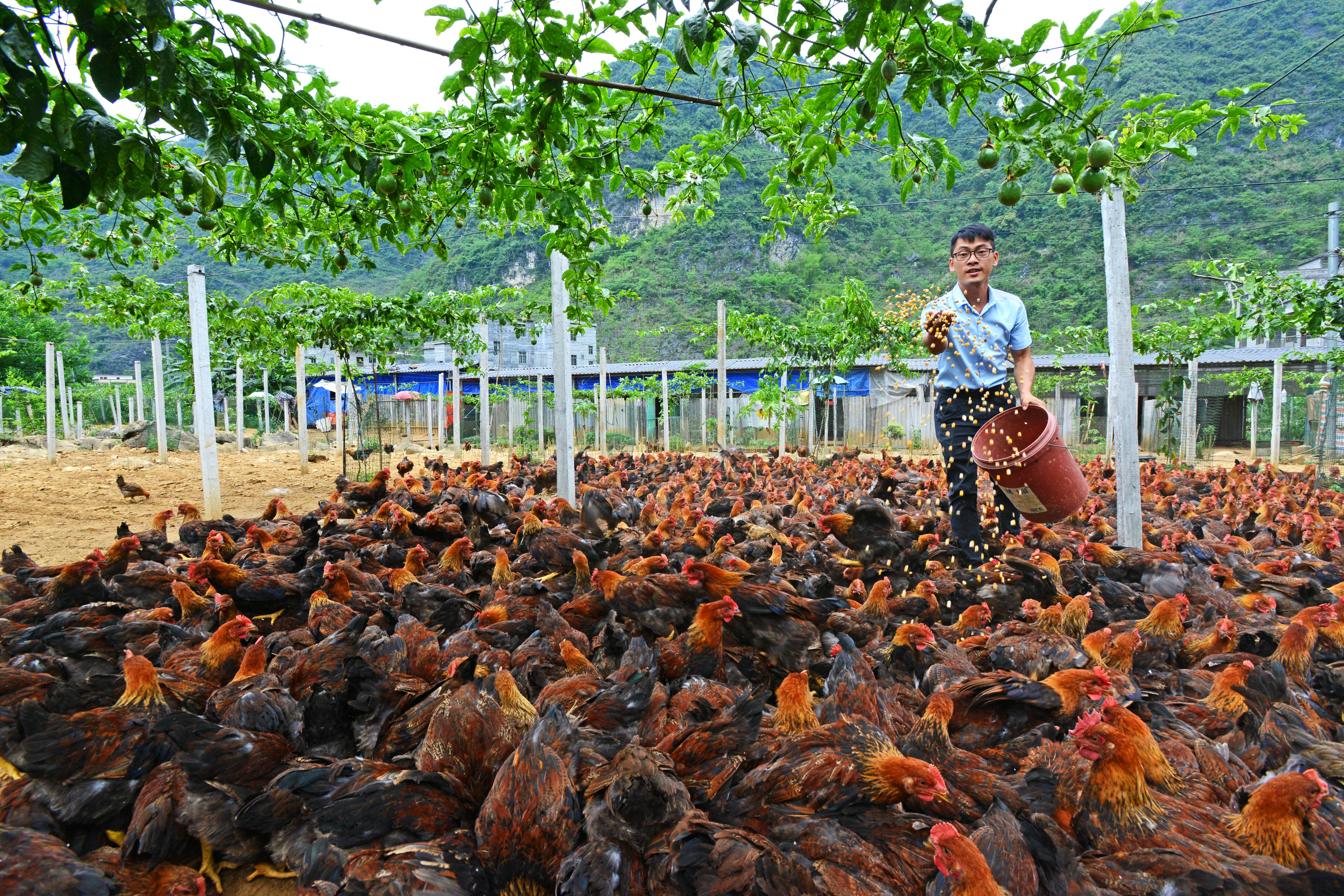 广西投资集团投资开发项目,广西投资集团协同发展