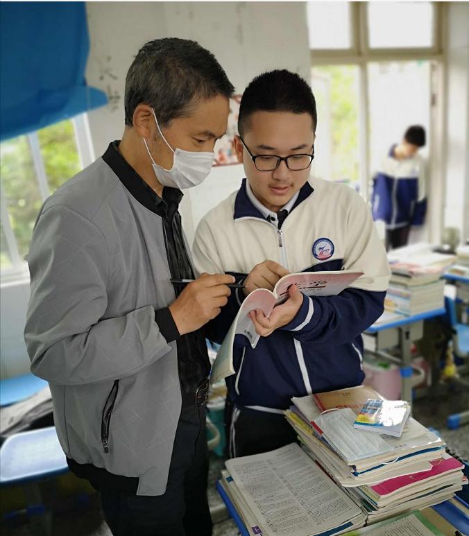 常青树教育培训,常青树怎么养护和管理