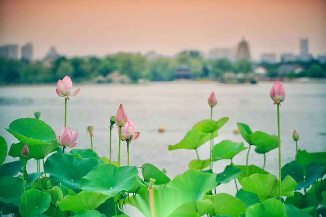 大唐芙蓉园景区全称,大唐芙蓉园必看景点