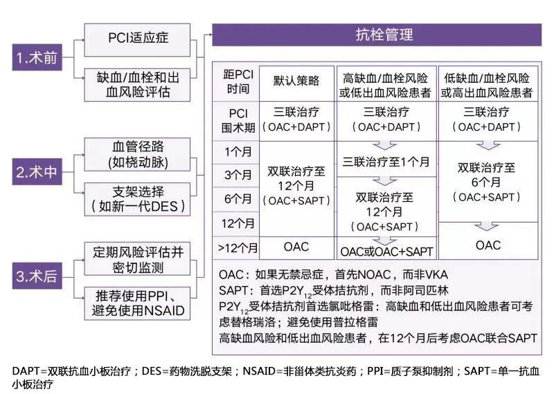 冠心病合并房颤的抗栓指南,冠心病合并房颤抗栓指南