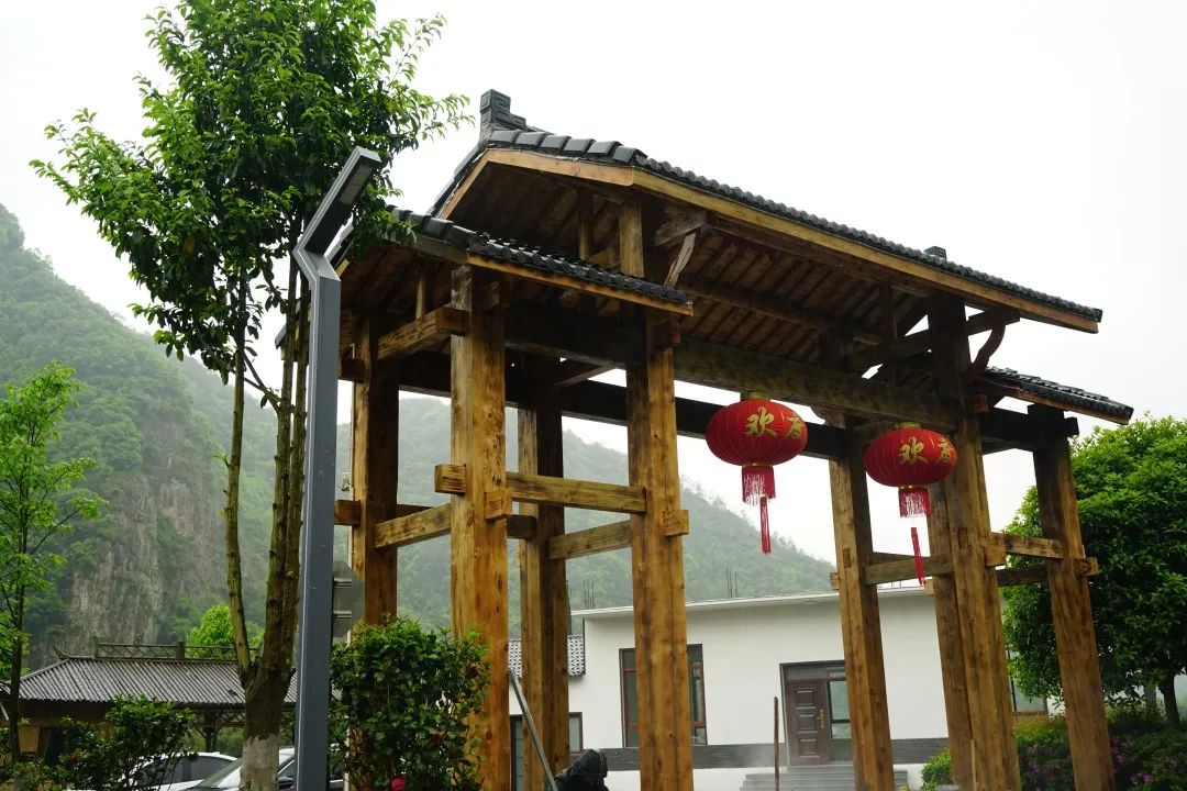 周末去哪儿⑫|王牌推荐，出行不愁！富阳山乡鲜得太“上头”啦！